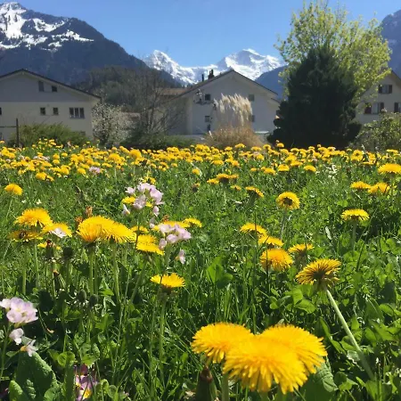 Bahnhofstrasse Apartment Interlaken